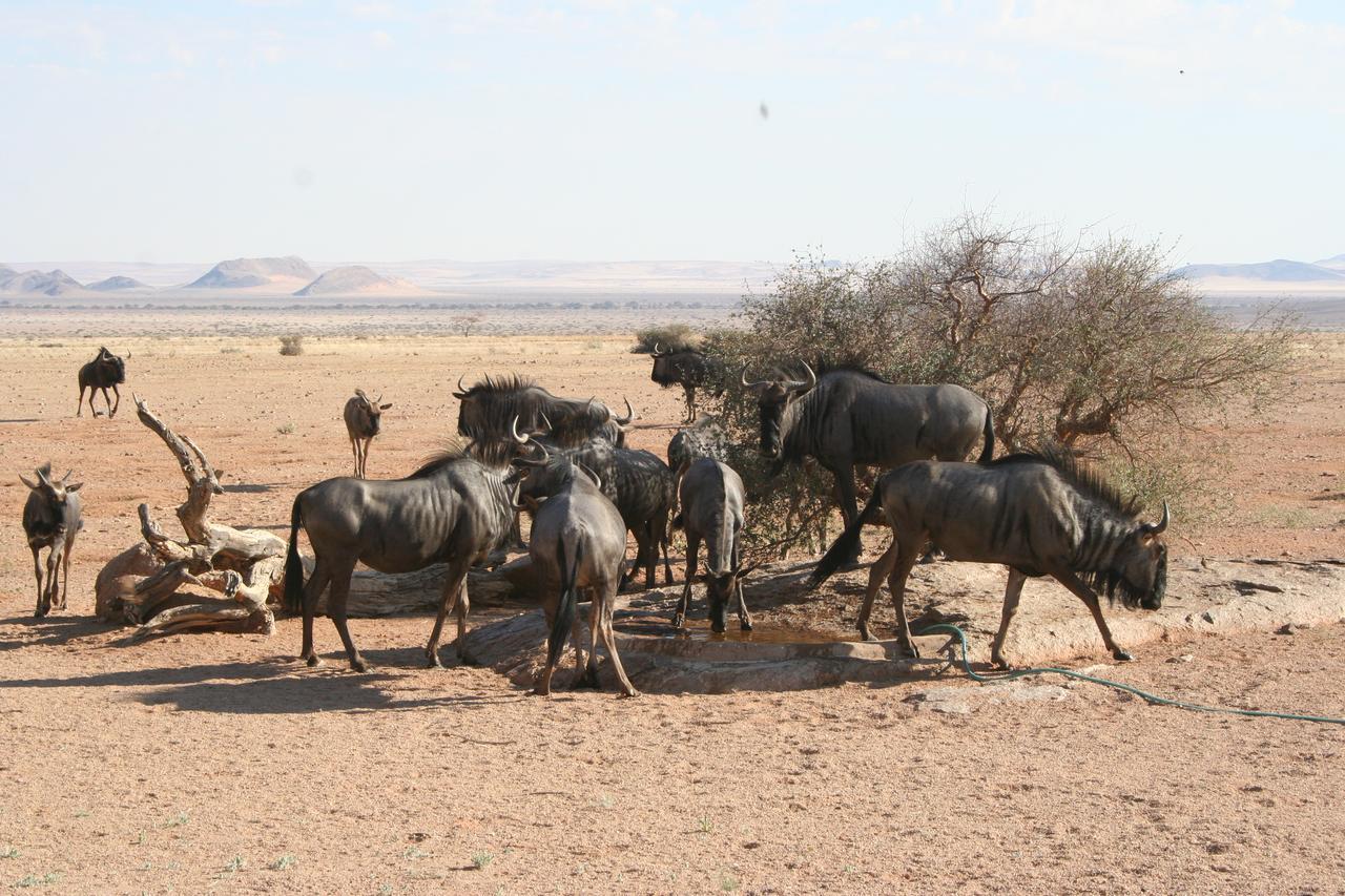 Namib Naukluft Lodge Солітер Екстер'єр фото